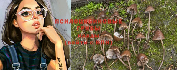 герыч Зеленодольск