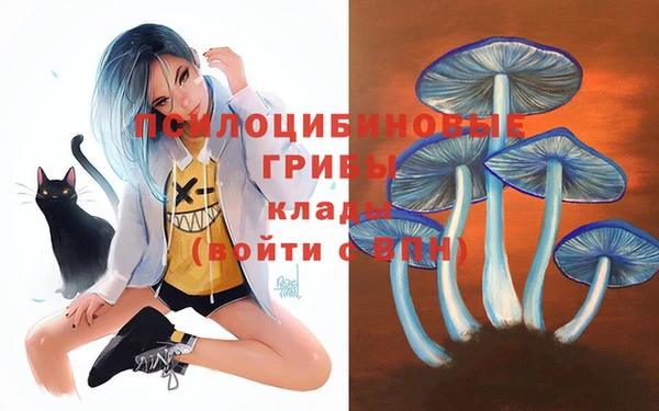 амфетамин Заволжск